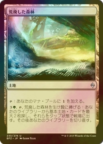 画像1: [FOIL] 荒廃した森林/Blighted Woodland 【日本語版】 [BFZ-土地U] (1)