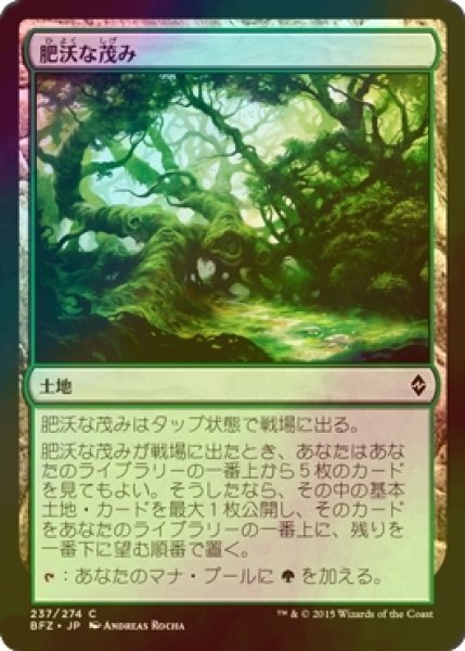 画像1: [FOIL] 肥沃な茂み/Fertile Thicket 【日本語版】 [BFZ-土地C] (1)