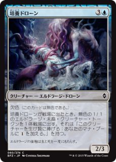 血に飢えた征服者/Bloodthirsty Conqueror (全面アート版) 【日本語版