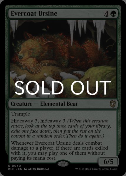 画像1: 常緑皮の熊/Evercoat Ursine 【英語版】 [BLC-緑R] (1)