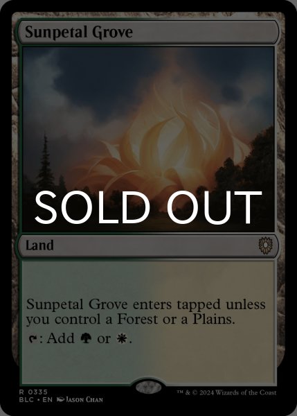 画像1: 陽花弁の木立ち/Sunpetal Grove 【英語版】 [BLC-土地R] (1)