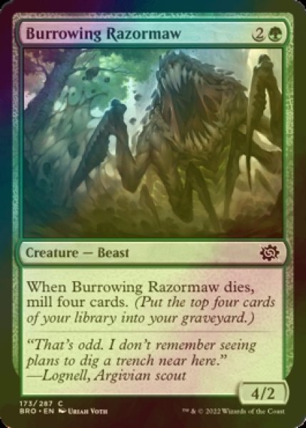 画像1: [FOIL] 穴掘り剃刀大口/Burrowing Razormaw 【英語版】 [BRO-緑C] (1)