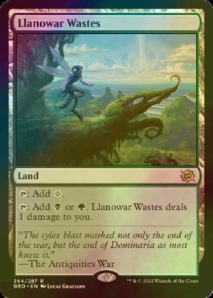 画像1: [FOIL] ラノワールの荒原/Llanowar Wastes 【英語版】 [BRO-土地R] (1)