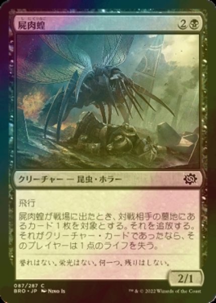 画像1: [FOIL] 屍肉蝗/Carrion Locust 【日本語版】 [BRO-黒C] (1)