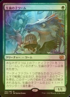 FOIL] ラノワールの荒原/Llanowar Wastes 【日本語版】 [BRO-土地R