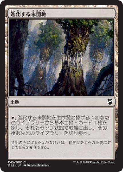 画像1: 進化する未開地/Evolving Wilds 【日本語版】 [C18-土地C] (1)