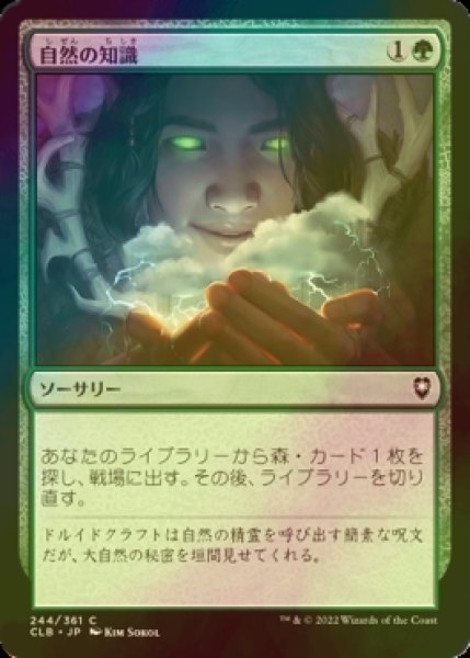 画像1: [FOIL] 自然の知識/Nature's Lore 【日本語版】 [CLB-緑C] (1)