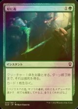 特殊セット（FOIL）- MTG専門店シングルスター (Page 248)