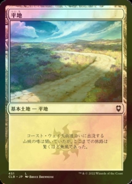 画像1: [FOIL] 平地/Plains No.451 【日本語版】 [CLB-土地C] (1)