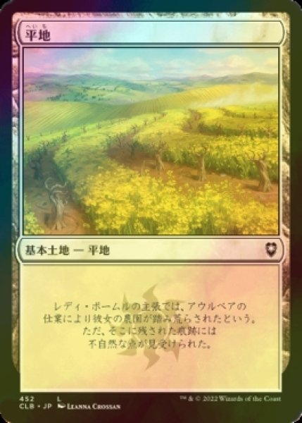 画像1: [FOIL] 平地/Plains No.452 【日本語版】 [CLB-土地C] (1)