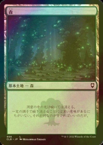 画像1: [FOIL] 森/Forest No.468 【日本語版】 [CLB-土地C] (1)