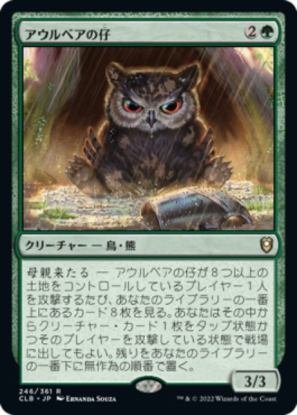 画像1: アウルベアの仔 /Owlbear Cub 【日本語版】 [CLB-緑R] (1)