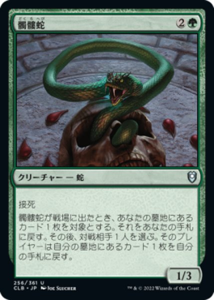 画像1: 髑髏蛇/Skullwinder 【日本語版】 [CLB-緑U] (1)