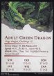 画像2: 隠れ潜むグリーン・ドラゴン/Lurking Green Dragon No.001 (箔押し版) 【英語版】 [CLB-アート] (2)