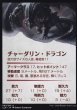 画像2: チャーダリン・ドラゴン/Chardalyn Dragon No.009 (箔押し版) 【日本語版】 [CLB-アート] (2)