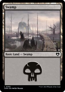 EX+](FOIL)(003)冠雪の沼/Snow-Covered Swamp《英語》【SLD】
