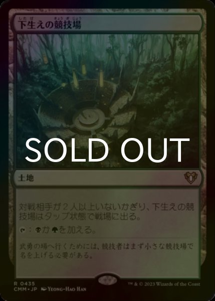 画像1: [FOIL] 下生えの競技場/Undergrowth Stadium 【日本語版】 [CMM-土地R] (1)