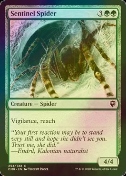 画像1: [FOIL] 歩哨蜘蛛/Sentinel Spider 【英語版】 [CMR-緑C] (1)