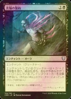 FOIL] 歴史学ぶもの、ロアホールド/Lorehold, the Historian (全面