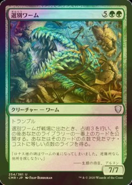 画像1: [FOIL] 選別ワーム/Sifter Wurm 【日本語版】 [CMR-緑U] (1)