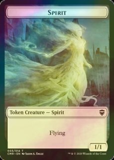 行き届いた書庫　英語　フルアート　FOIL 1枚 FOIL] 行き届いた書庫/Meticulous Archive 【英語版】 [MKM-土地