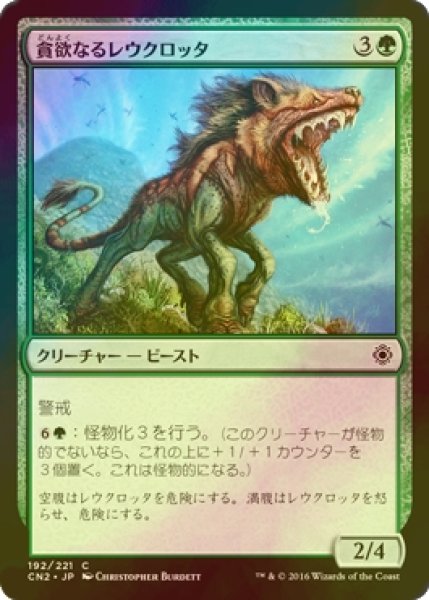 画像1: [FOIL] 貪欲なるレウクロッタ/Ravenous Leucrocota 【日本語版】 [CN2-緑C] (1)