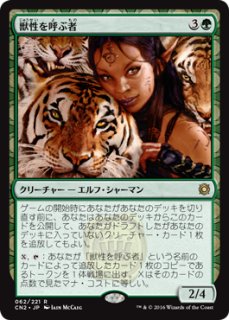 魔導戦士、ティナ　英語1枚 魔導戦士、ティナ/Terra, Magical Adept 【英語版】 [FIN-金MR