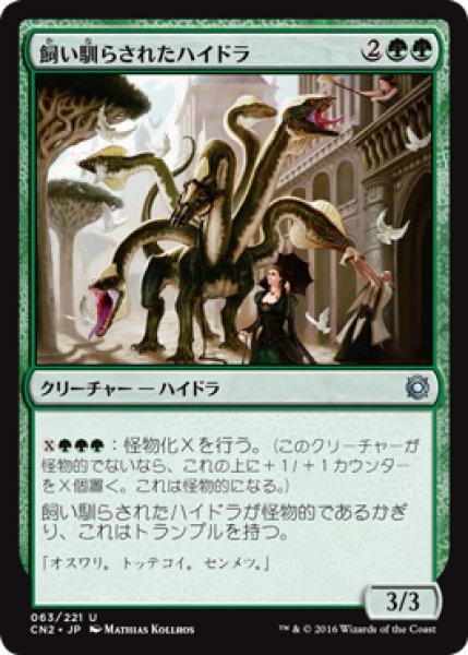 画像1: 飼い馴らされたハイドラ/Domesticated Hydra 【日本語版】 [CN2-緑U] (1)