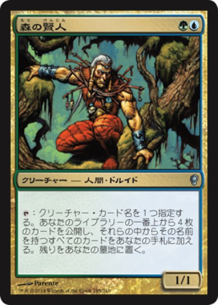 画像1: 森の賢人/Wood Sage 【日本語版】 [CNS-金U] (1)