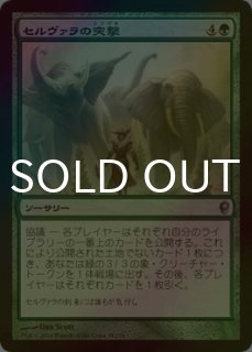 GEX】 四角ラビレットXL なんと広々＆深い… おしっこも飛び散ら