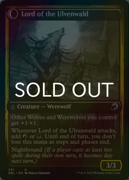 画像2: [FOIL] ケッシグの自然主義者/Kessig Naturalist 【英語版】 [DBL-金U] (2)