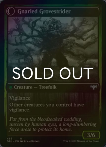 画像2: [FOIL] 休樹林帯/Dormant Grove 【英語版】 [DBL-緑U] (2)
