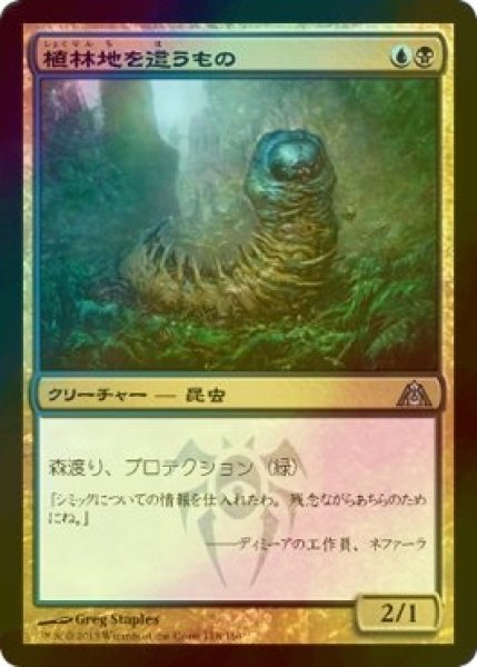 画像1: [FOIL] 植林地を這うもの/Woodlot Crawler 【日本語版】 [DGM-金U] (1)