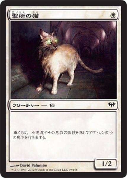 画像1: 聖所の猫/Sanctuary Cat 【日本語版】 [DKA-白C] (1)