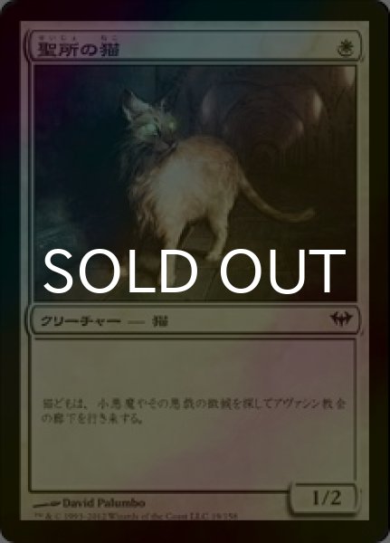 画像1: [FOIL] 聖所の猫/Sanctuary Cat 【日本語版】 [DKA-白C] (1)