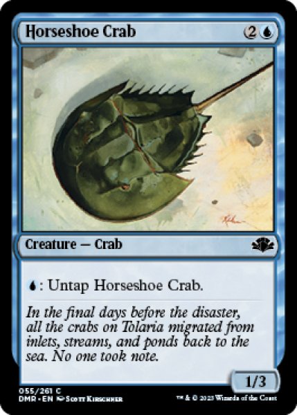 画像1: カブトガニ/Horseshoe Crab 【英語版】 [DMR-青C] (1)