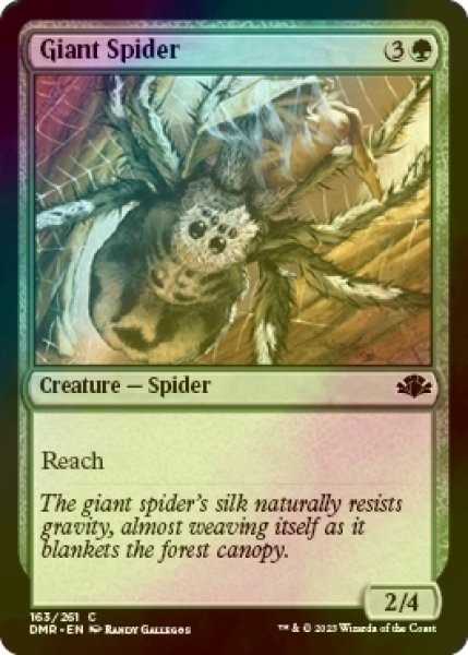 画像1: [FOIL] 大蜘蛛/Giant Spider 【英語版】 [DMR-緑C] (1)