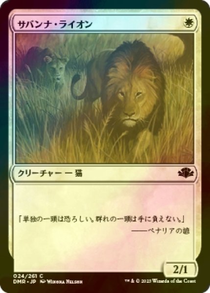 画像1: [FOIL] サバンナ・ライオン/Savannah Lions 【日本語版】 [DMR-白C] (1)