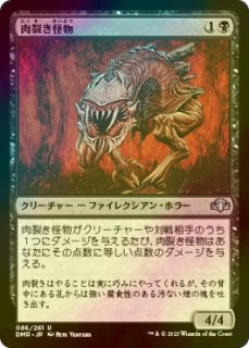 FOIL] 航行長ハナ/Hanna, Ship's Navigator 【日本語版】 [2XM-金R