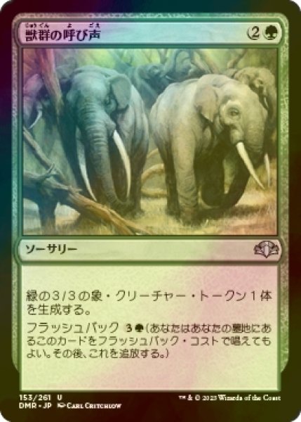 画像1: [FOIL] 獣群の呼び声/Call of the Herd 【日本語版】 [DMR-緑U] (1)