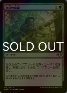 FOIL] サイクロンの裂け目/Cyclonic Rift ○ (旧枠・日本産ブースター