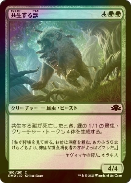 画像1: [FOIL] 共生する獣/Symbiotic Beast 【日本語版】 [DMR-緑C] (1)
