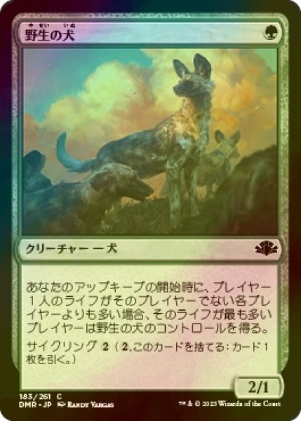 画像1: [FOIL] 野生の犬/Wild Dogs 【日本語版】 [DMR-緑C] (1)