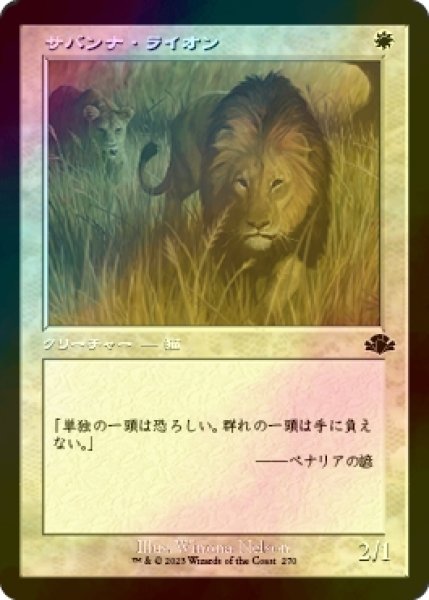 画像1: [FOIL] サバンナ・ライオン/Savannah Lions (旧枠) 【日本語版】 [DMR-白C] (1)