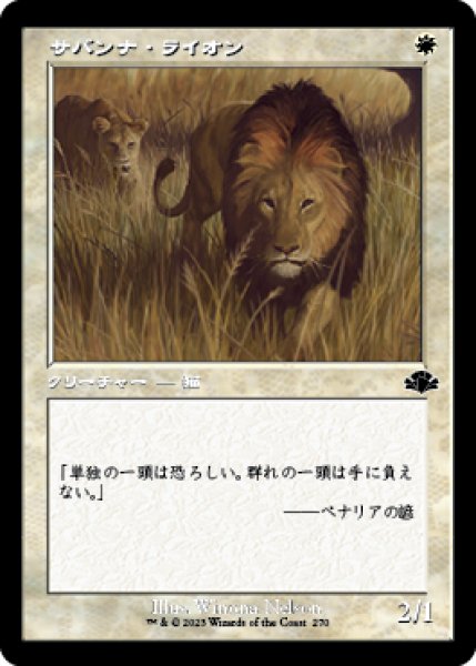 画像1: サバンナ・ライオン/Savannah Lions (旧枠) 【日本語版】 [DMR-白C] (1)