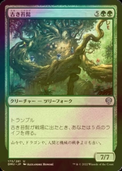 画像1: [FOIL] 古き苔髭/Mossbeard Ancient 【日本語版】 [DMU-緑U] (1)