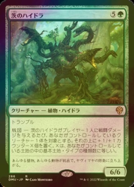 画像1: [FOIL] 茨のハイドラ/Briar Hydra 【日本語版】 [DMU-緑R] (1)