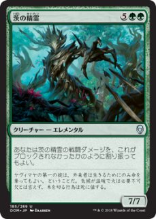 【日本語Foil】降る星、流星/Ryusei, the Falling Star ryusei_the_falling_star.jpg
