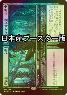 風変わりな果樹園 / Exotic Orchard Foil ミントモール / MINT GAMES MTG(東日本橋) / 【WHO】【JPN