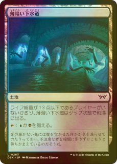 MTG　永劫の好奇心　ショーケース　foil 即日発送】 Foil】(388)□ショーケース□《永劫の好奇心